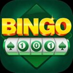 BINGO 101